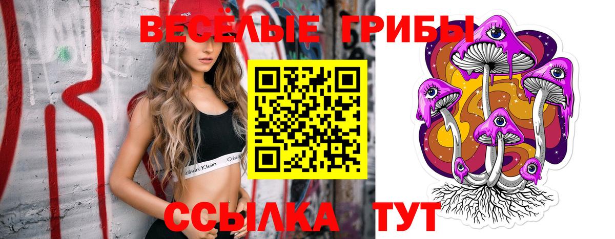 Псилоцибиновые грибы Magic Shrooms  Вход с VPN  Белебей  Псилоцибиновые грибы Cubensis 